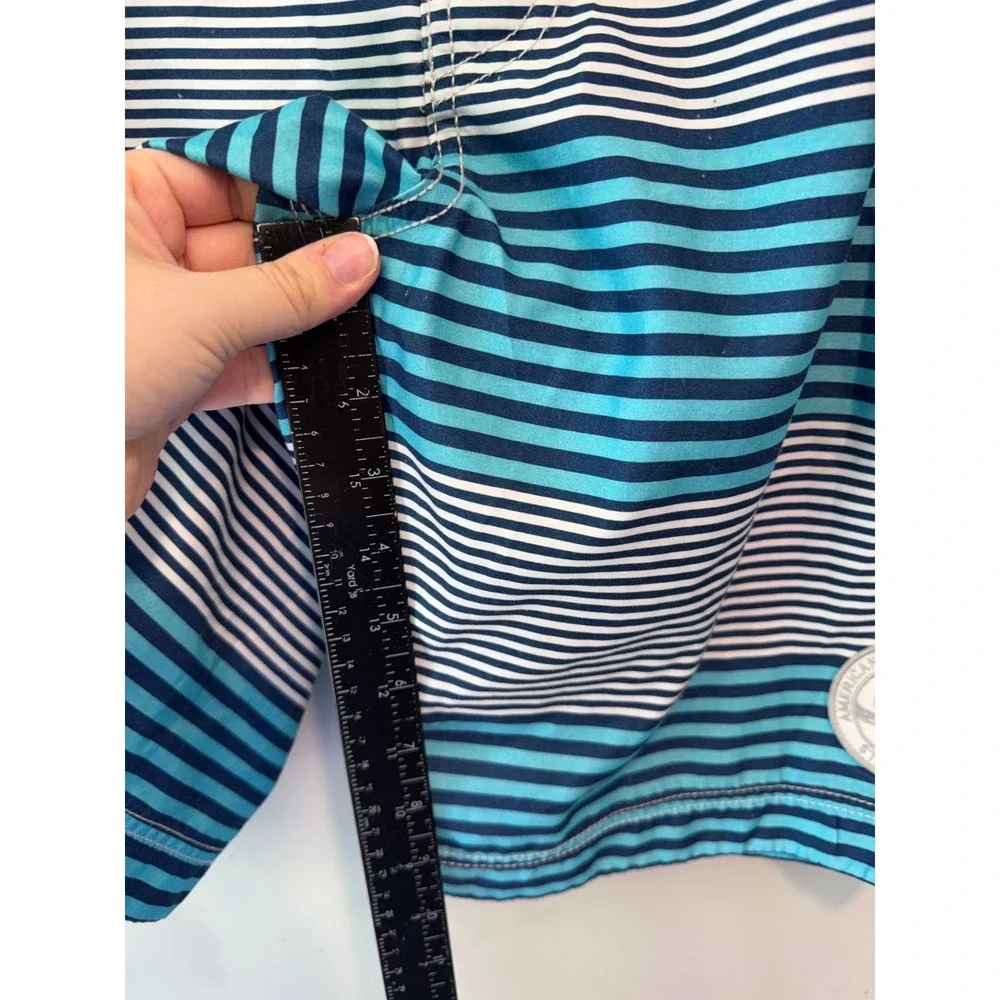 American Eagle Mens Blue White Striped Board Shorts Swim Trunks Size Medium